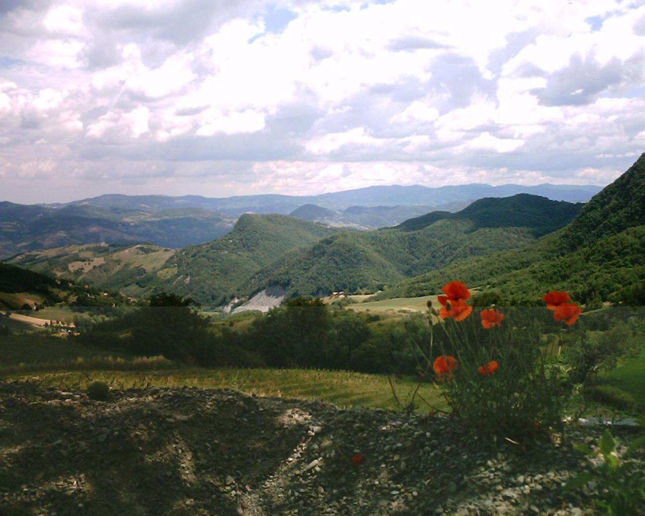 La Piana Dei Castagni Villa Castel dʼAiano Екстериор снимка