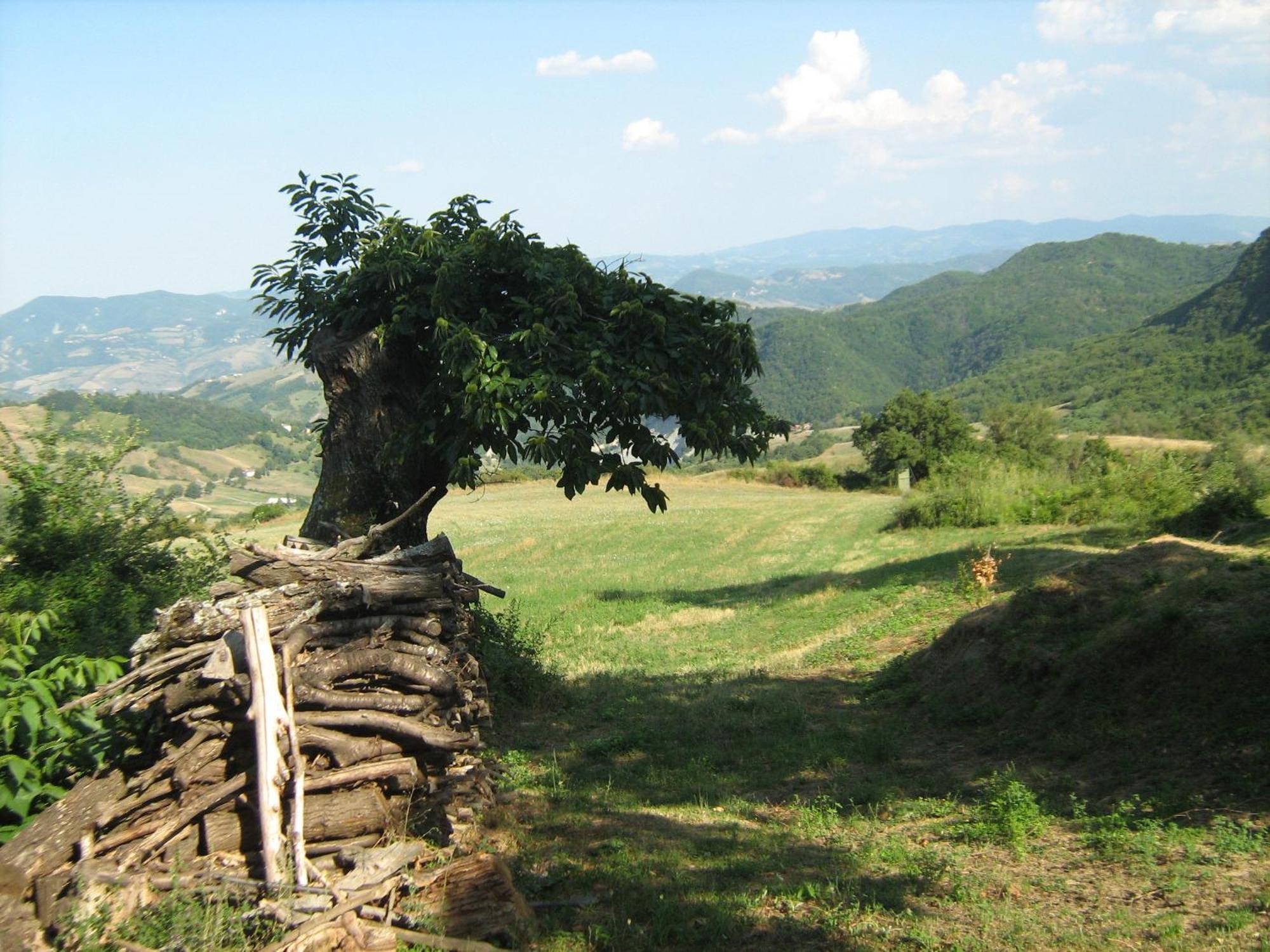 La Piana Dei Castagni Villa Castel dʼAiano Екстериор снимка